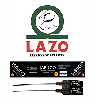 precinto, vitola y logo de paleta lazo summum